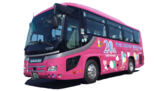 コスモスバス：中型観光バス